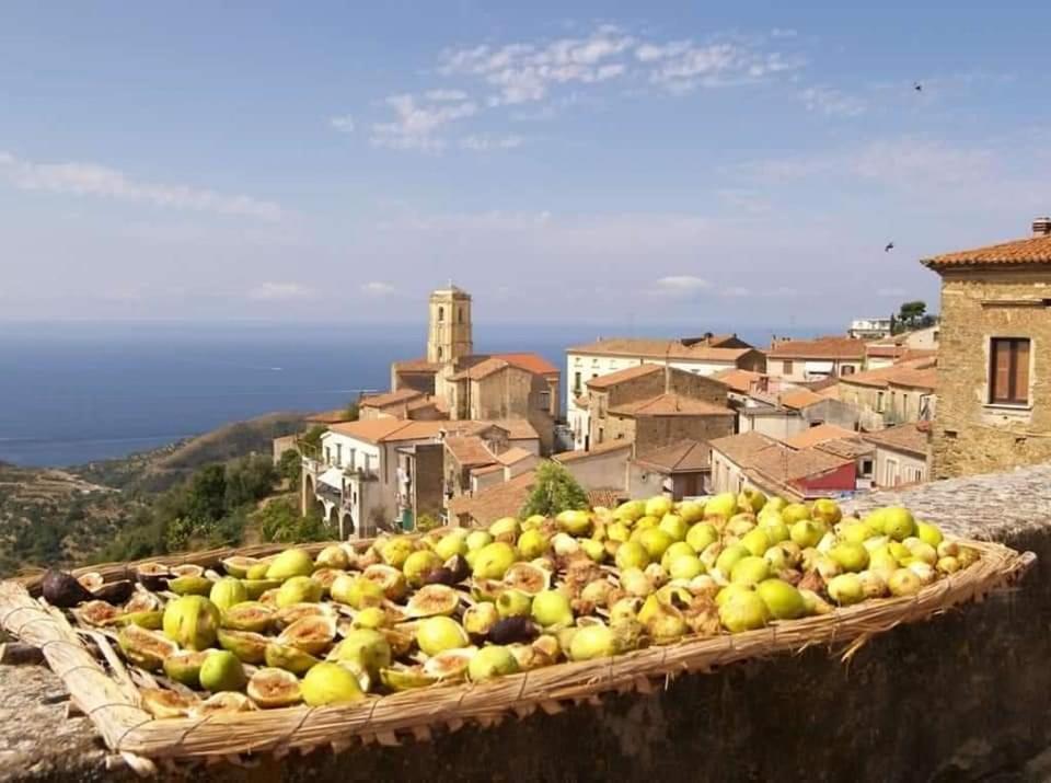 Carmineholidayhouse Pollica Buitenkant foto