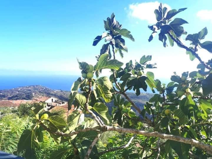 Carmineholidayhouse Pollica Buitenkant foto